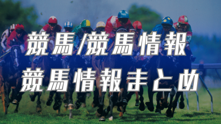 競馬/競馬情報　競馬情報まとめ